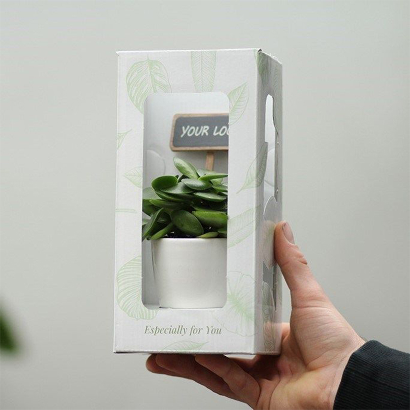 Mini plante - image 2